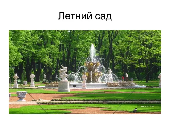 Летний сад