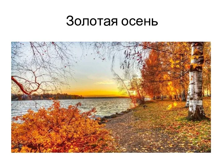 Золотая осень