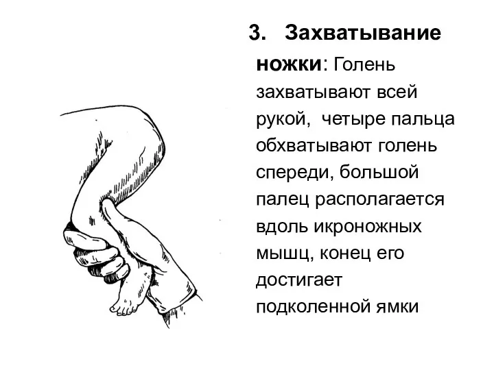 Захватывание ножки: Голень захватывают всей рукой, четыре пальца обхватывают голень спереди,