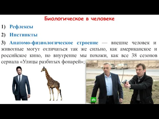 Биологическое в человеке 1) Рефлексы 2) Инстинкты 3) Анатомо-физиологическое строение —