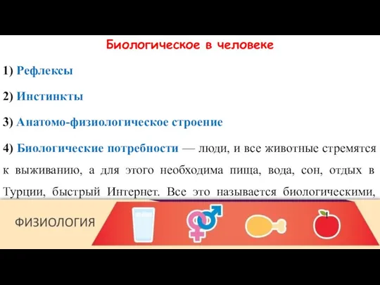 Биологическое в человеке 1) Рефлексы 2) Инстинкты 3) Анатомо-физиологическое строение 4)