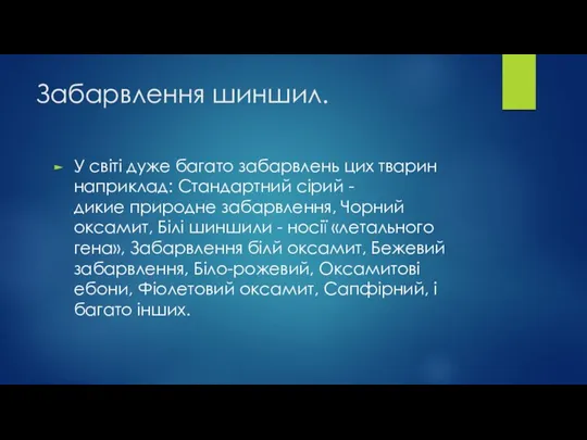 Забарвлення шиншил. У світі дуже багато забарвлень цих тварин наприклад: Стандартний