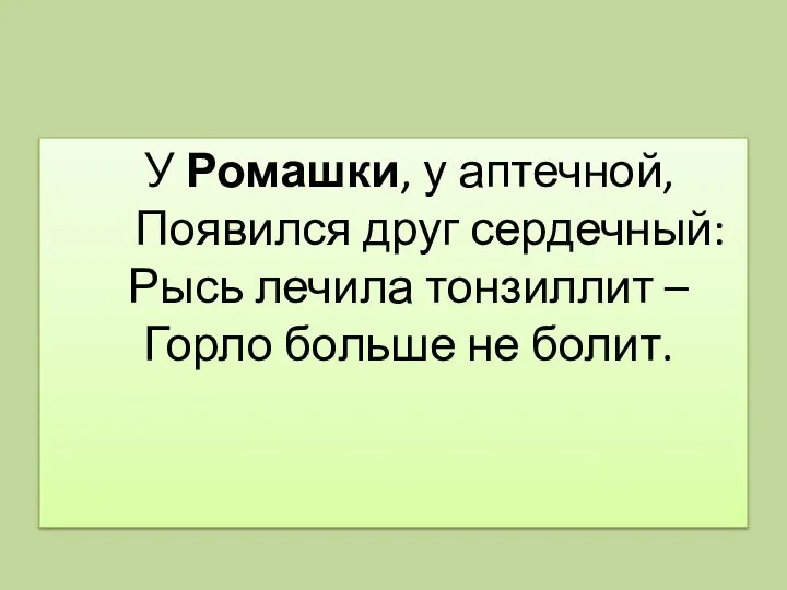 У Ромашки, у аптечной, Появился друг сердечный: Рысь лечила тонзиллит – Горло больше не болит.