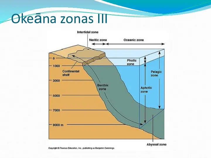 Okeāna zonas III