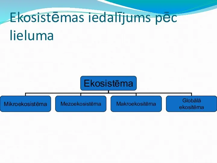 Ekosistēmas iedalījums pēc lieluma