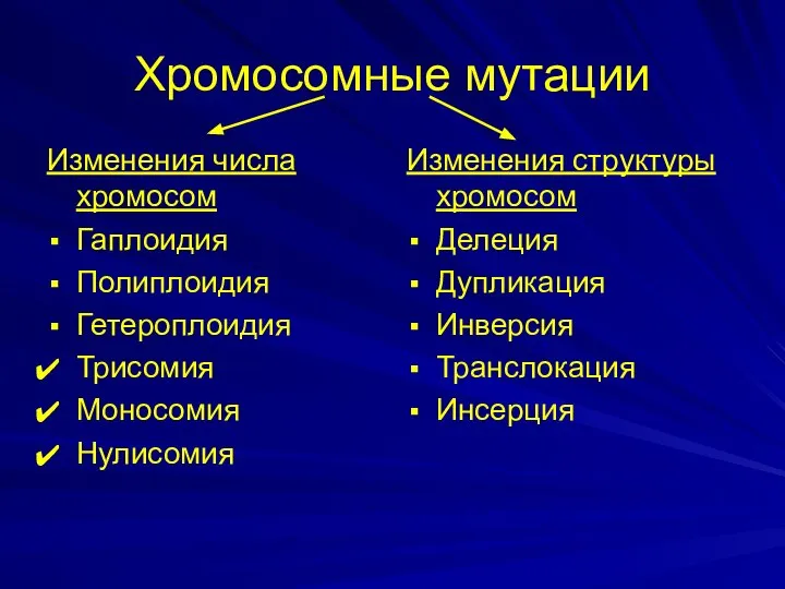 Хромосомные мутации Изменения числа хромосом Гаплоидия Полиплоидия Гетероплоидия Трисомия Моносомия Нулисомия