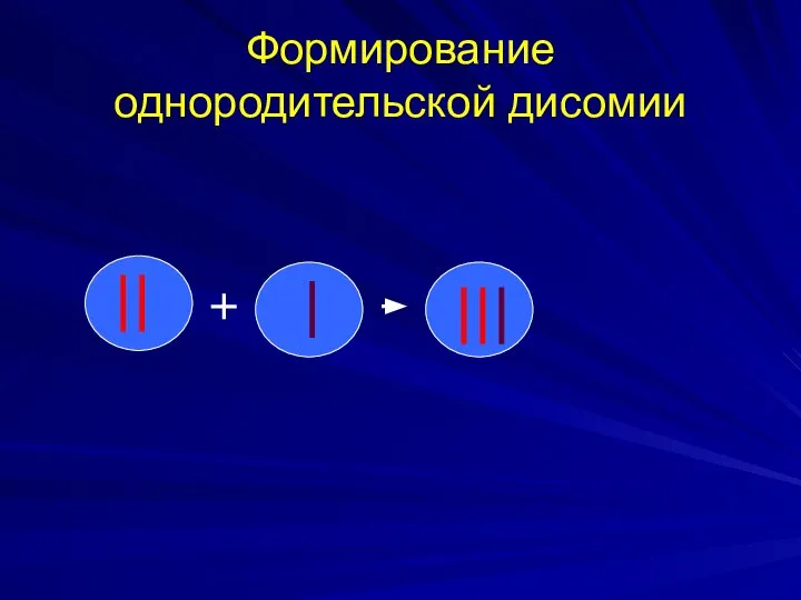 Формирование однородительской дисомии