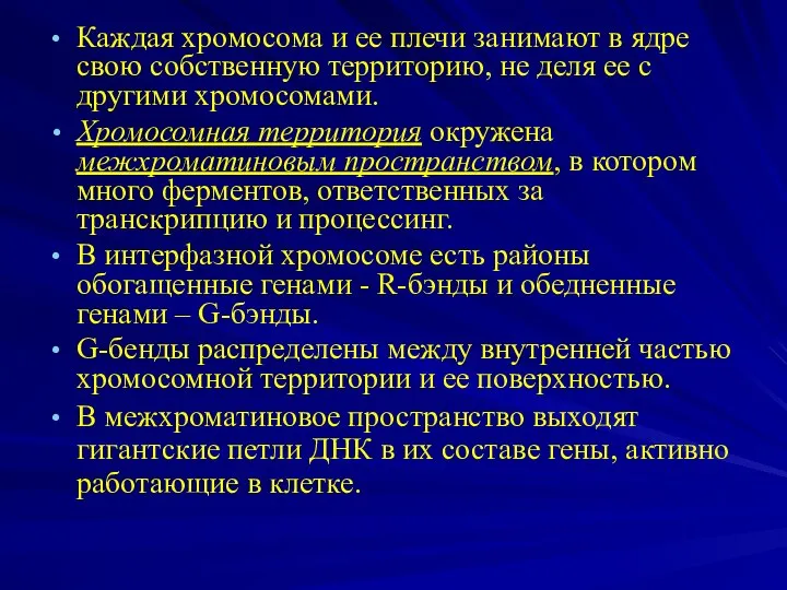 Каждая хромосома и ее плечи занимают в ядре свою собственную территорию,