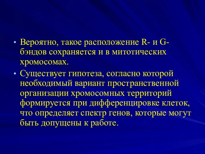 Вероятно, такое расположение R- и G-бэндов сохраняется и в митотических хромосомах.