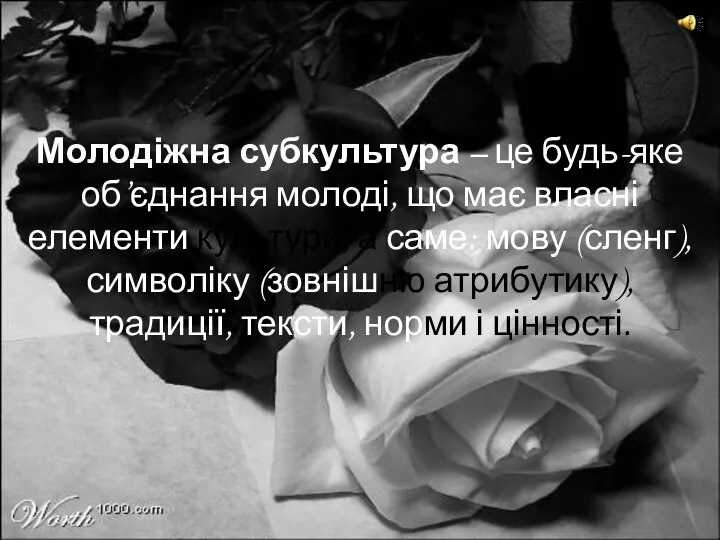 Молодіжна субкультура – це будь-яке об’єднання молоді, що має власні елементи