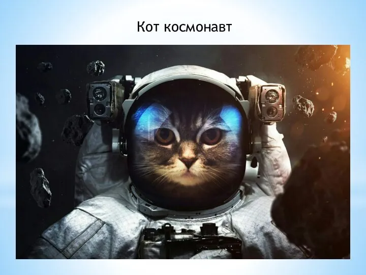 Кот космонавт