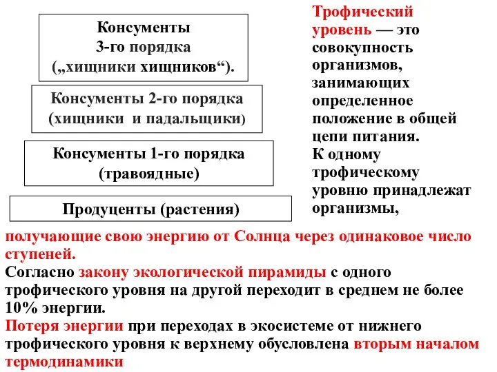 Трофический уровень — это совокупность организмов, занимающих определенное положение в общей