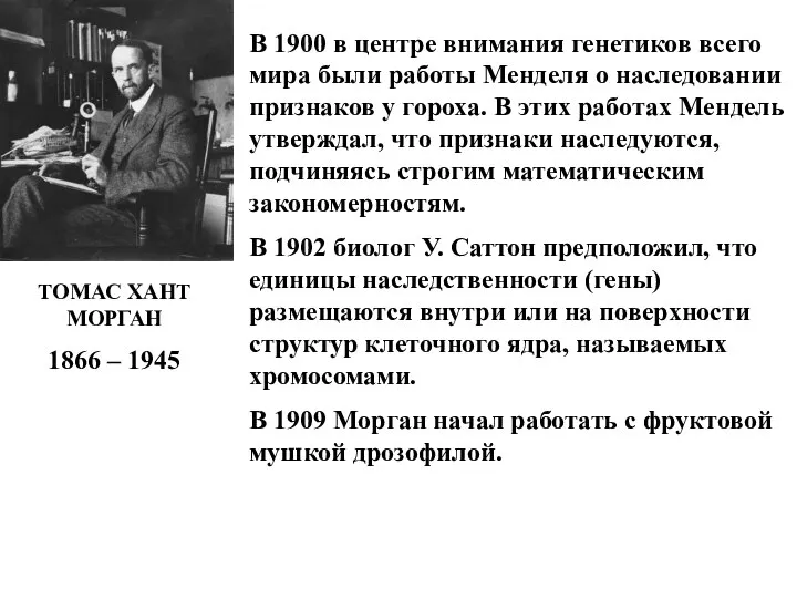 ТОМАС ХАНТ МОРГАН 1866 – 1945 В 1900 в центре внимания