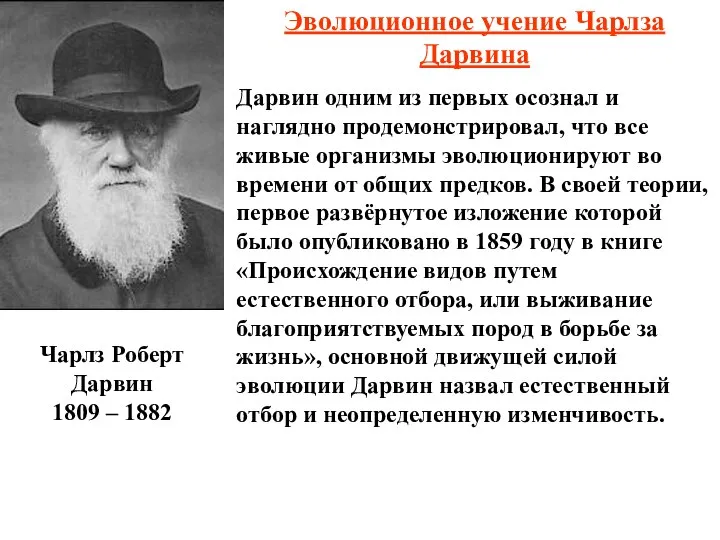 Чарлз Роберт Дарвин 1809 – 1882 Эволюционное учение Чарлза Дарвина Дарвин