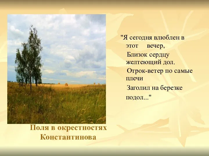 Поля в окрестностях Константинова "Я сегодня влюблен в этот вечер, Близок