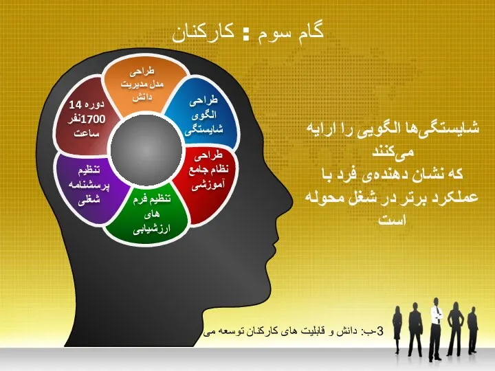 گام سوم : کارکنان 3-ب: دانش و قابلیت های کارکنان توسعه