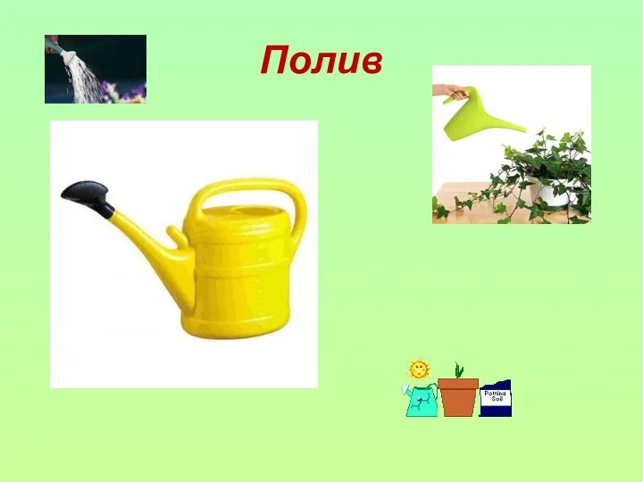 Полив