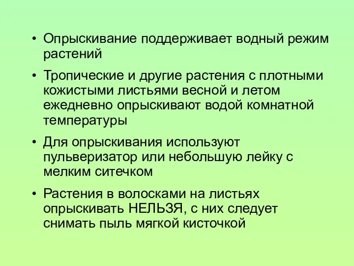 Опрыскивание поддерживает водный режим растений Тропические и другие растения с плотными