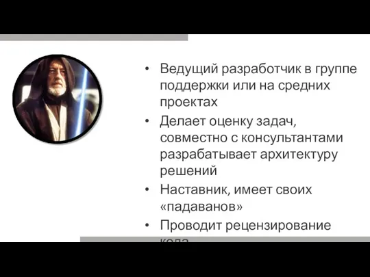 Ведущий разработчик в группе поддержки или на средних проектах Делает оценку