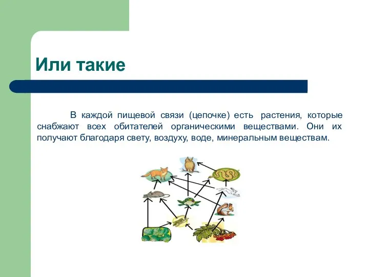 Или такие В каждой пищевой связи (цепочке) есть растения, которые снабжают