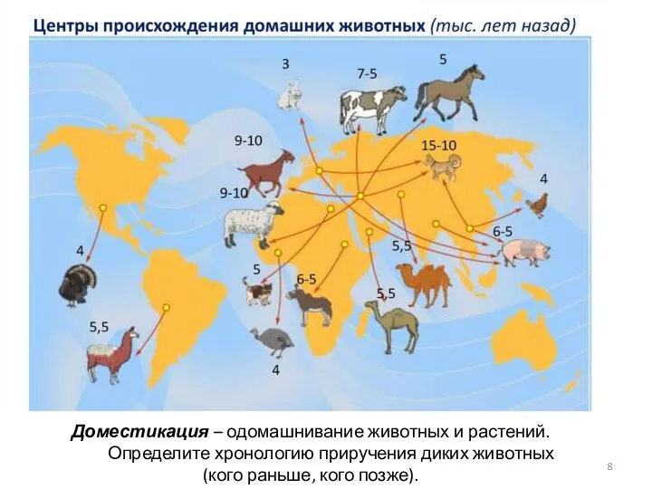 Доместикация – одомашнивание животных и растений. Определите хронологию приручения диких животных (кого раньше, кого позже).