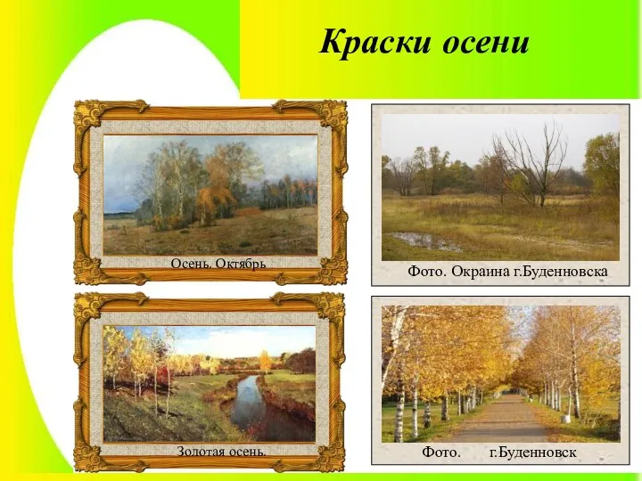 Краски осени