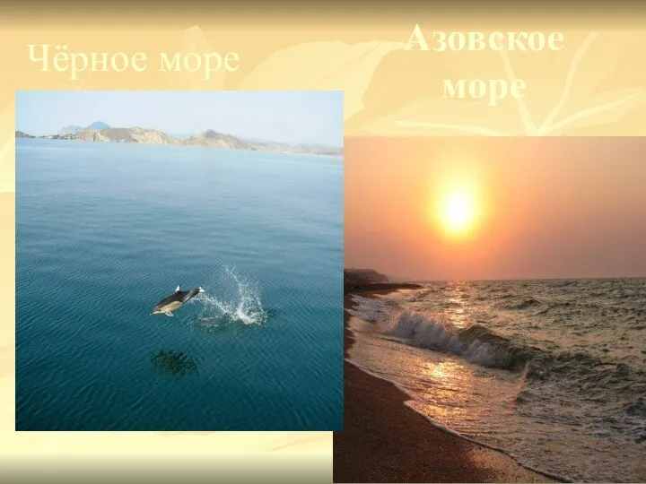 Азовское море Чёрное море