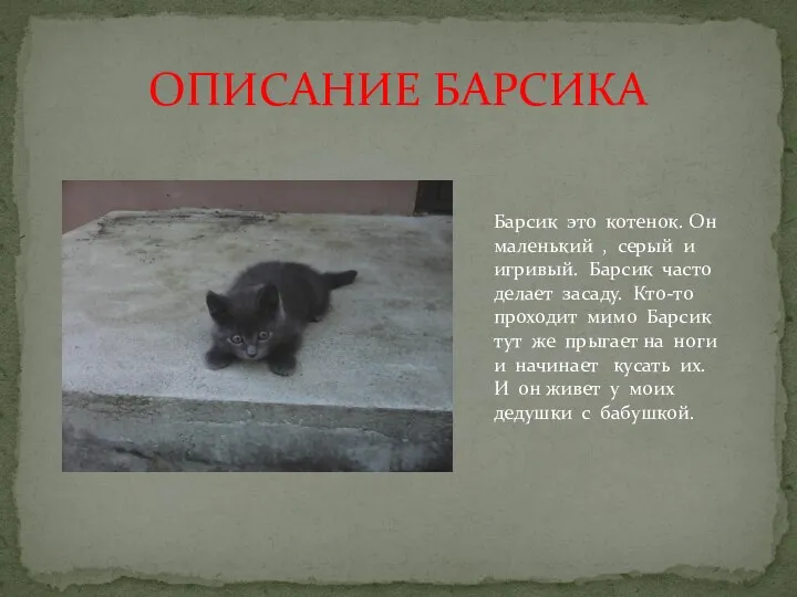 ОПИСАНИЕ БАРСИКА Барсик это котенок. Он маленький , серый и игривый.