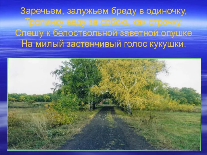 Заречьем, залужьем бреду в одиночку, Тропинку веду за собою, как строчку.