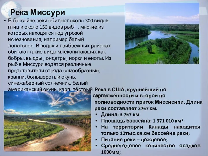 В бассейне реки обитают около 300 видов птиц и около 150