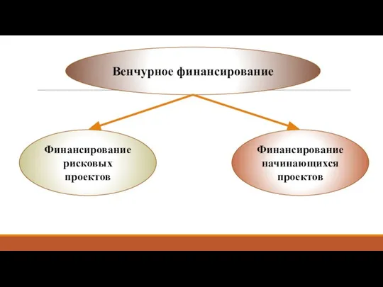 Венчурное финансирование Финансирование рисковых проектов Финансирование начинающихся проектов