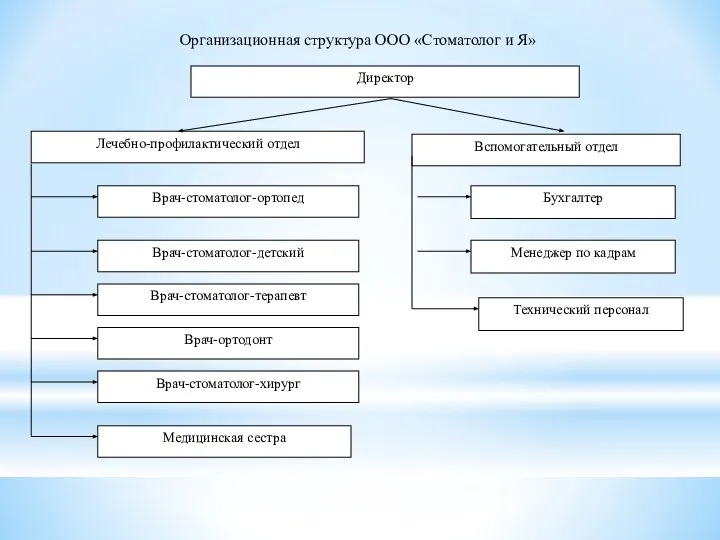 Организационная структура ООО «Стоматолог и Я»