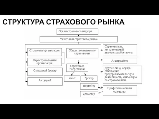 СТРУКТУРА СТРАХОВОГО РЫНКА