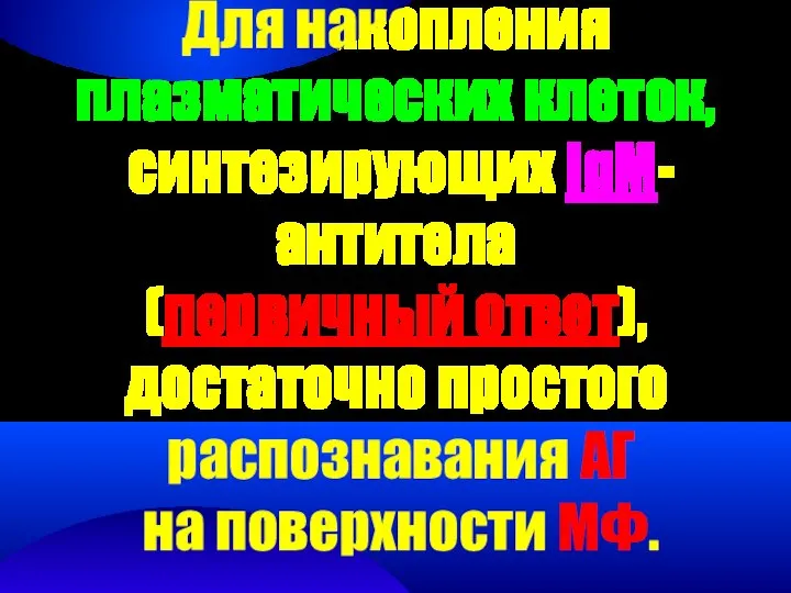 Для накопления плазматических клеток, синтезирующих IgМ-антитела (первичный ответ), достаточно простого распознавания АГ на поверхности МФ.