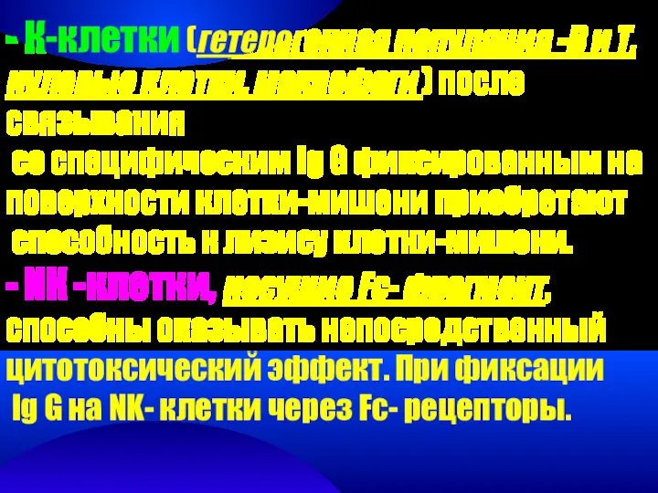 - К-клетки (гетерогенная популяция -В и Т, нулевые клетки, макрофаги )