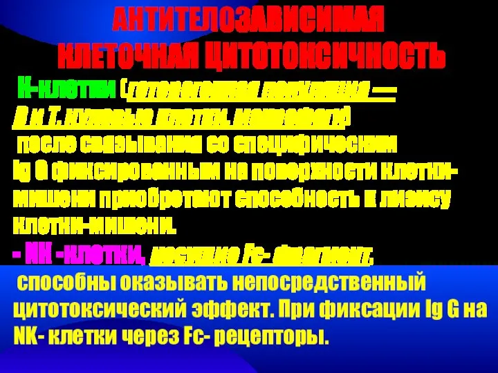 АНТИТЕЛОЗАВИСИМАЯ КЛЕТОЧНАЯ ЦИТОТОКСИЧНОСТЬ К-клетки (гетерогенная популяция — В и Т, нулевые