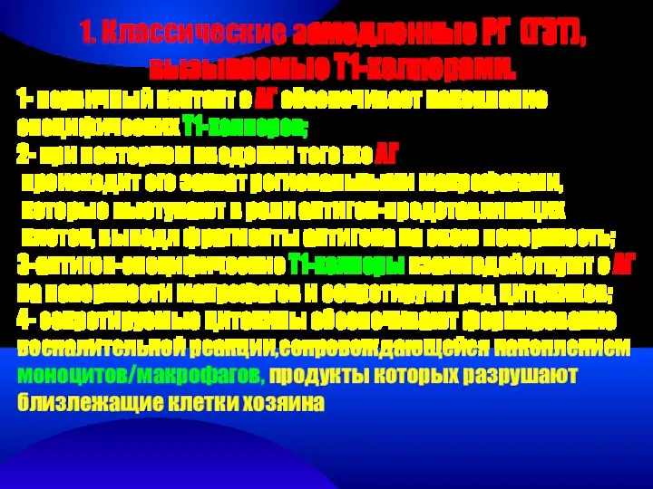 1. Классические замедленные РГ (ГЗТ), вызываемые Т1-хелперами. 1- первичный контакт с