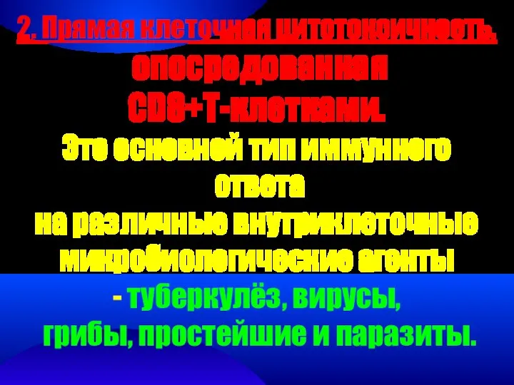 2. Прямая клеточная цитотоксичность, опосредованная CD8+T-клетками. Это основной тип иммунного ответа