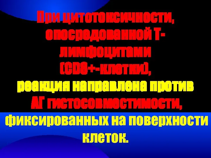 При цитотоксичности, опосредованной T-лимфоцитами (CD8+-клетки), реакция направлена против АГ гистосовместимости, фиксированных на поверхности клеток.