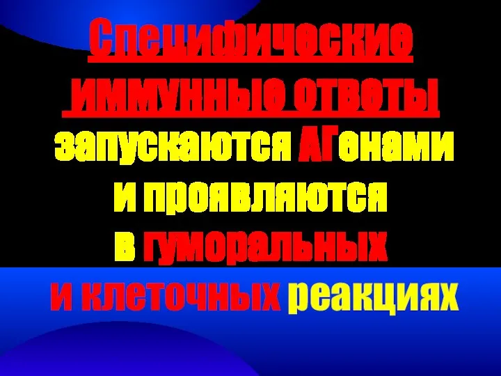 Специфические иммунные ответы запускаются АГенами и проявляются в гуморальных и клеточных реакциях