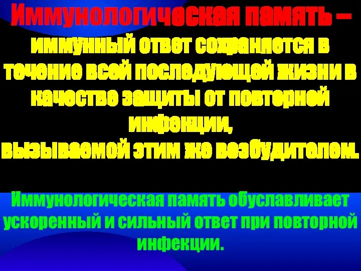 Иммунологическая память – иммунный ответ сохраняется в течение всей последующей жизни