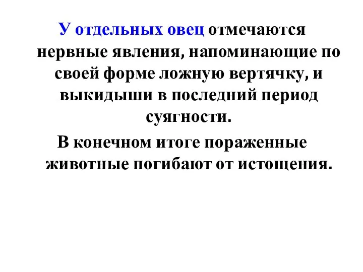 У отдельных овец отмечаются нервные явления, напоминающие по своей форме ложную