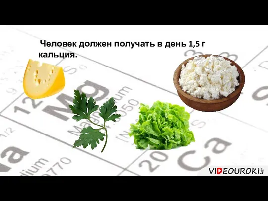 Человек должен получать в день 1,5 г кальция.