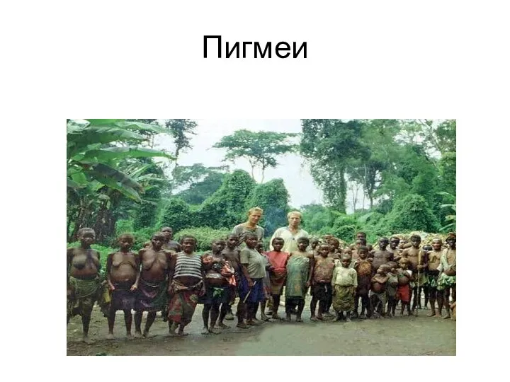 Пигмеи