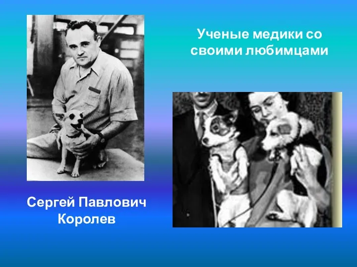 Сергей Павлович Королев Ученые медики со своими любимцами