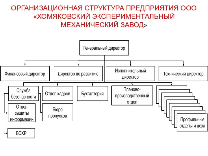 ОРГАНИЗАЦИОННАЯ СТРУКТУРА ПРЕДПРИЯТИЯ ООО «ХОМЯКОВСКИЙ ЭКСПЕРИМЕНТАЛЬНЫЙ МЕХАНИЧЕСКИЙ ЗАВОД»