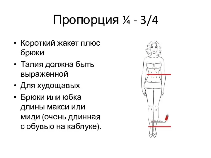 Пропорция ¼ - 3/4 Короткий жакет плюс брюки Талия должна быть