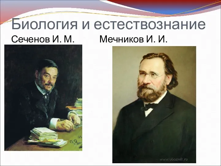 Биология и естествознание Сеченов И. М. Мечников И. И.