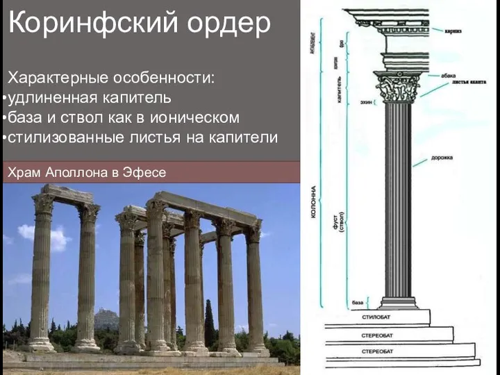 Коринфский ордер Характерные особенности: удлиненная капитель база и ствол как в