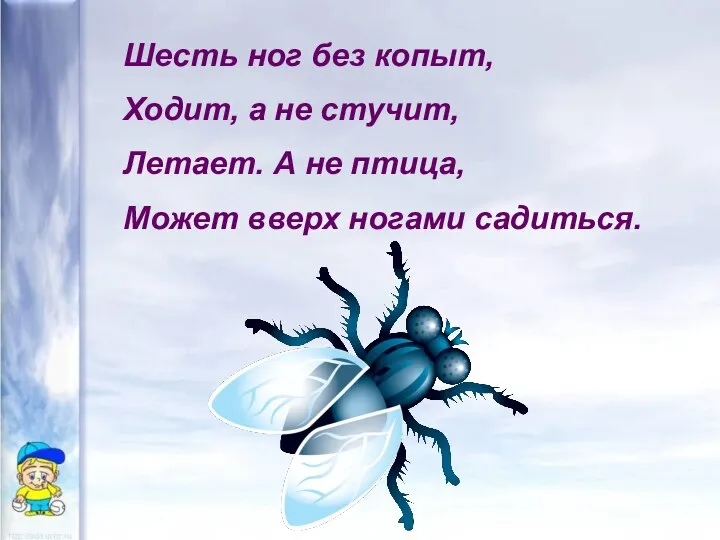 Шесть ног без копыт, Ходит, а не стучит, Летает. А не птица, Может вверх ногами садиться.